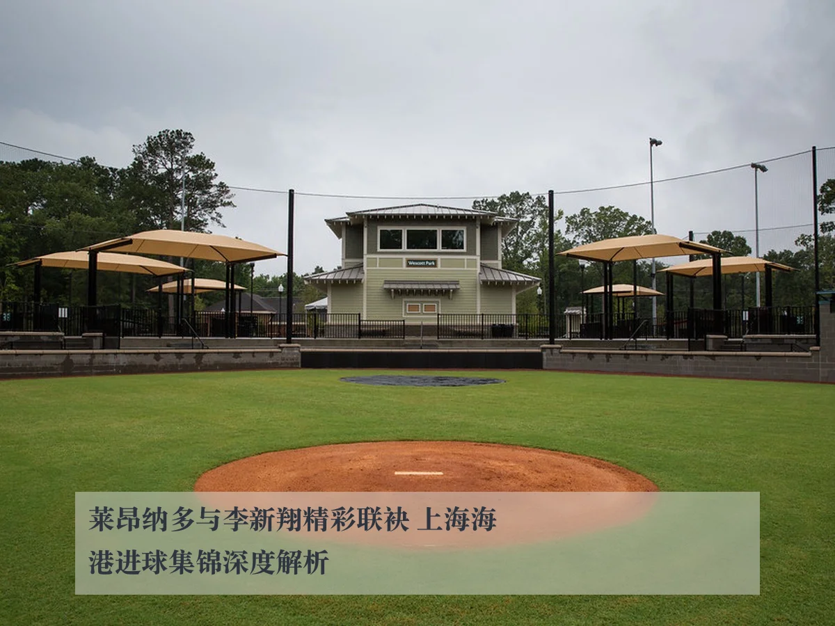 莱昂纳多与李新翔精彩联袂 上海海港进球集锦深度解析