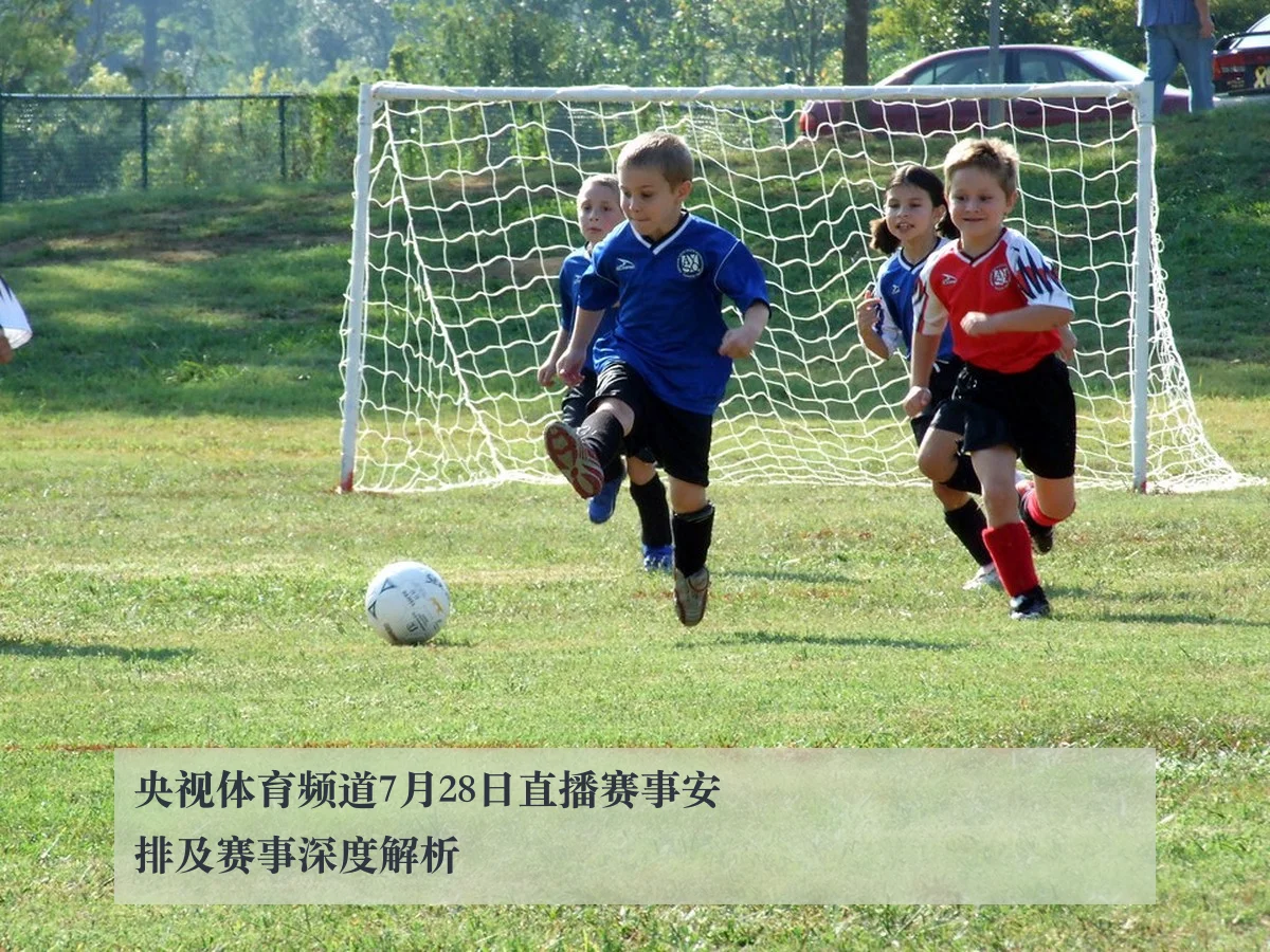 央视体育频道7月28日直播赛事安排及赛事深度解析